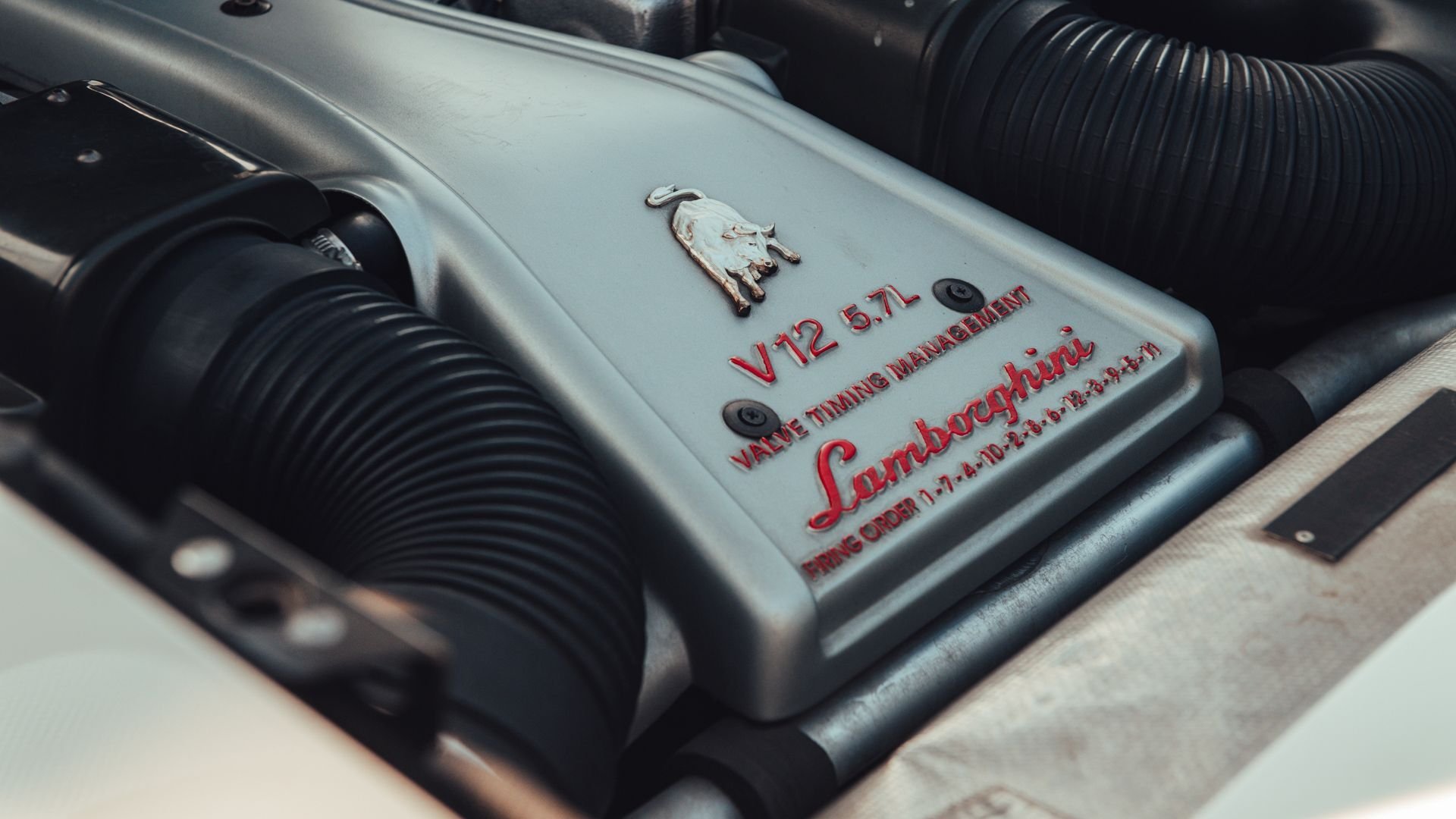 1be156c7ebdc1cc5b3c40004b98e6fff (1).jpeg